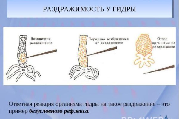 Сайт знакомств bs